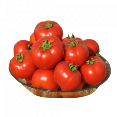 Семена томата Кентавр F1 (1000 семян), Libra Seeds (Erste Zaden)